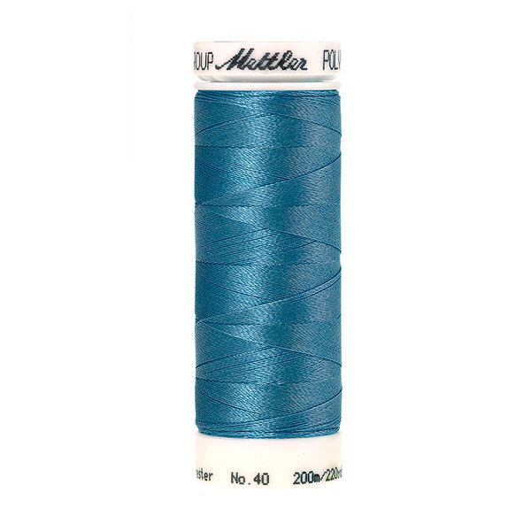 Нить вышивальная Mettler Poly Sheen 40 (200 м), 5 кат. | цв. 3830