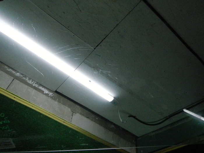 DSCN5663.JPG