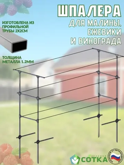 Шпалера для малины, ежевики и винограда