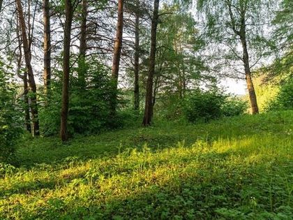 КП «Ясное»