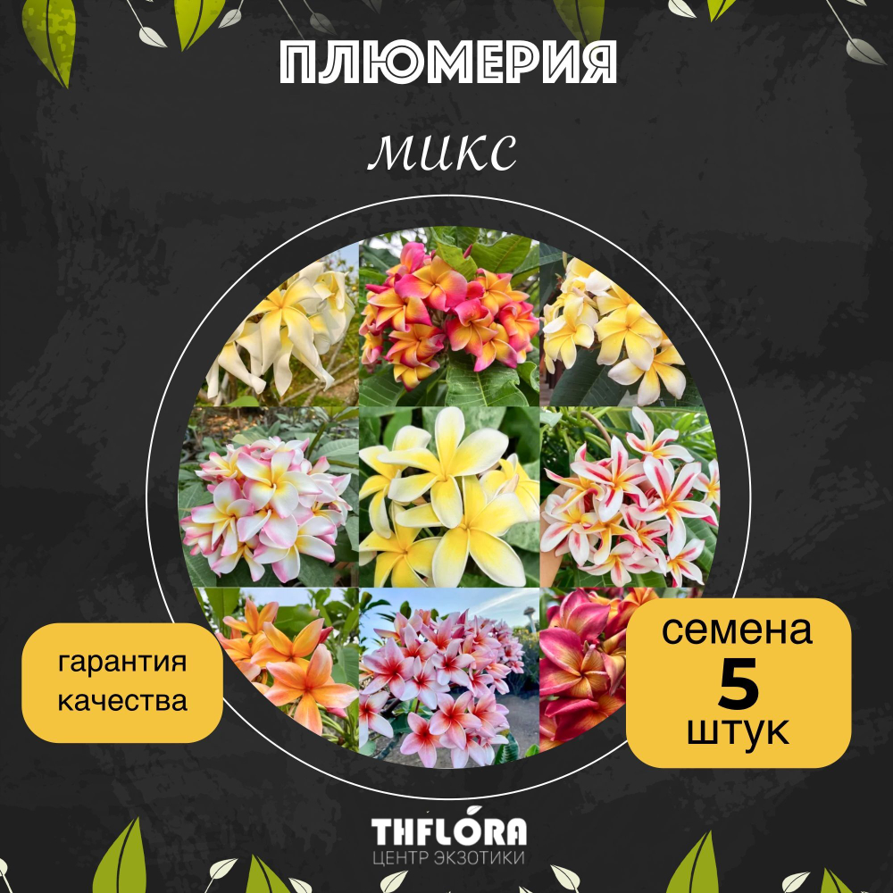 Плюмерия микс семена 5 штук
