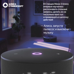 Умная колонка Yandex Станция Мини 3 Алиса черный 12W 1.0 BT/Wi-Fi (YNDX-00027BLK)
