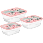 Комплект контейнеров для продуктов прямоугольных 3 шт. (0,5л+0,85л+1,5л) с декором «Сад пионов» 223151808/04