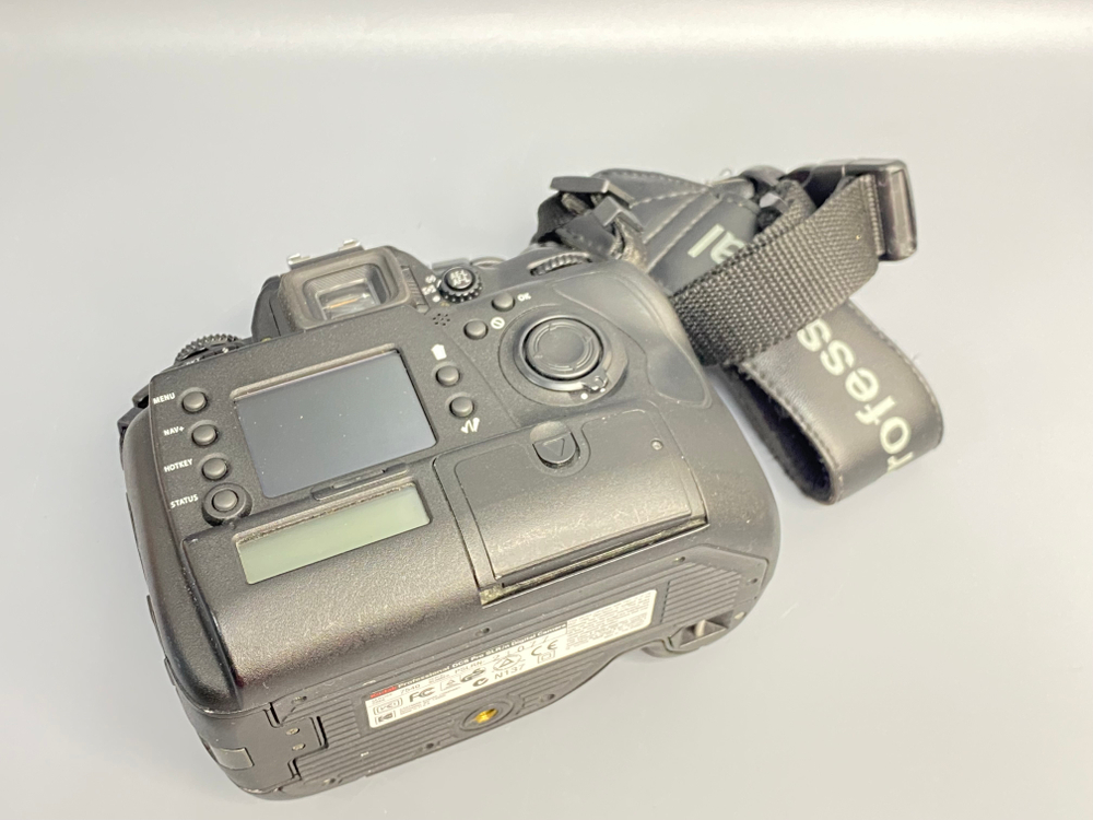 Kodak DCS Pro SLR/n