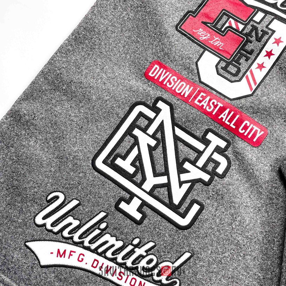Шорты Ecko Unltd