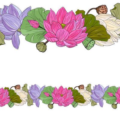 gentle lotus