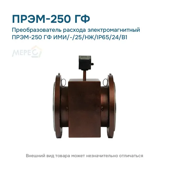 Преобразователь расхода электромагнитный ПРЭМ-250 ГФ ИМИ/-/25/НЖ/IP65/24/B1
