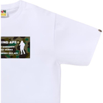 A Bathing Ape 1st Camo Army Name Tee белый коричневый