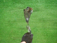 DSCN1281.jpg