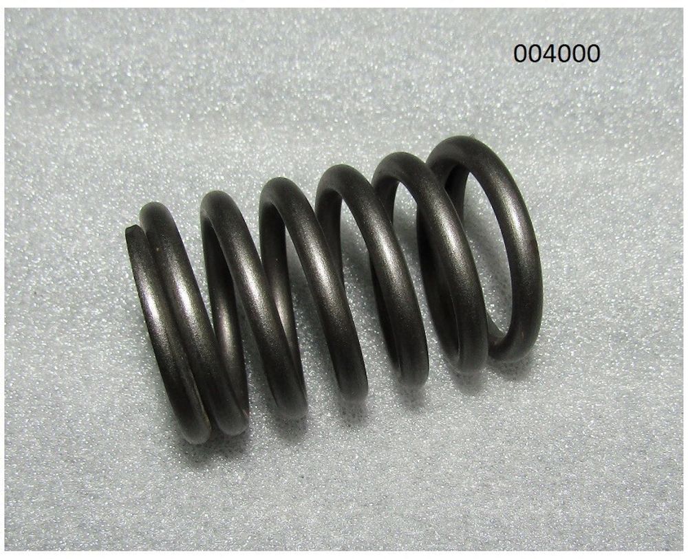 Пружина клапана наружная Ricardo R6110ZLDS; TDK 56- 170 6LT/Outer spring,inlet &exhaust valve (R010022)