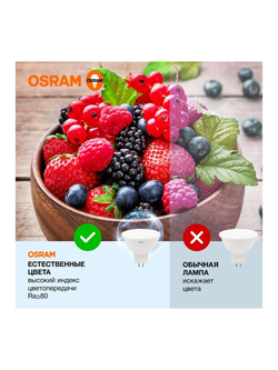 Лампа светодиодная LED Value LVMR1635 5SW/865 5Вт GU5.3 230В 10х1 RU OSRAM 4058075582484