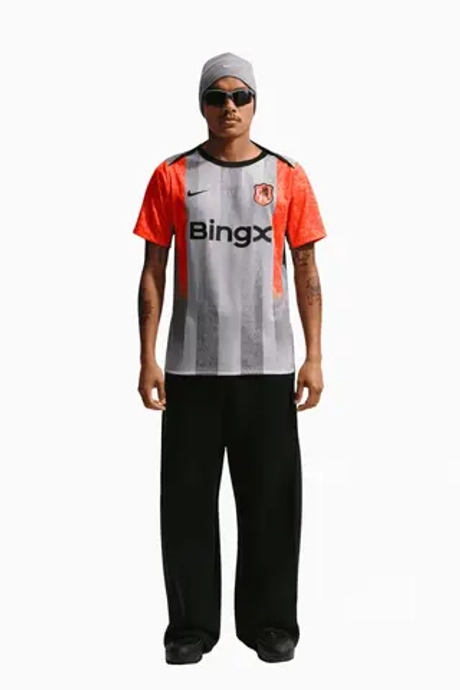 Футболка Nike Chelsea FC 25/26 Academy Pro - серый