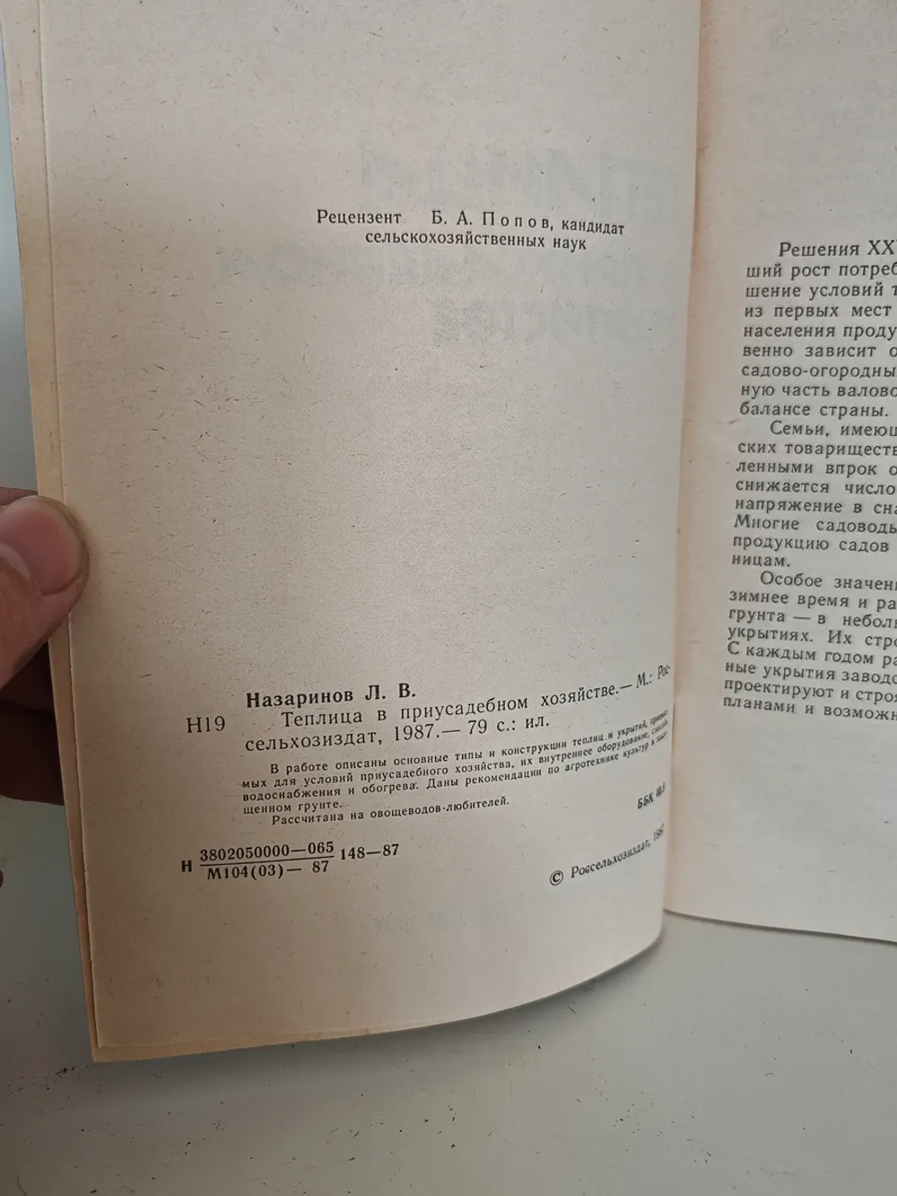 Теплица в приусадебном хозяйстве