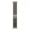 Часы Apple Watch Ultra 4, 49 мм, титан светлого цвета, миланский сетчатый браслет (2026)