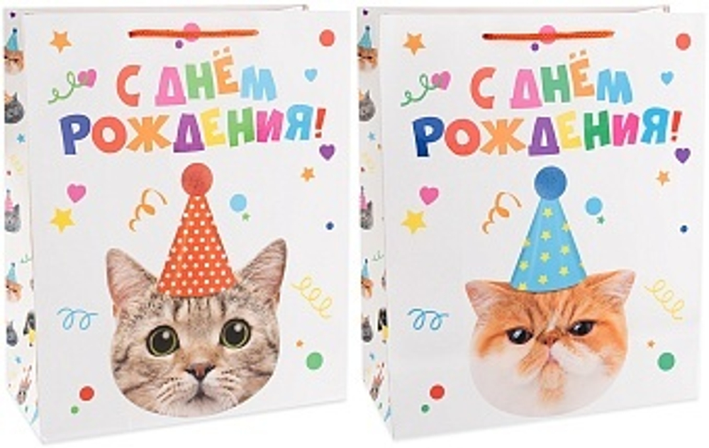 Пакет подарочный Котенок в колпачке Лаковый 23*18*10 см.