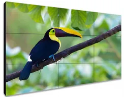 Exell EXPD-WA55AB05 - жК-панель для видеостен 55"