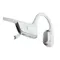 Shokz OpenRun Pro 2 Silver