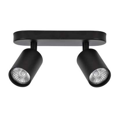 Настенно-потолочный светильник Arte Lamp AQUARIUS A3226PL-2BK