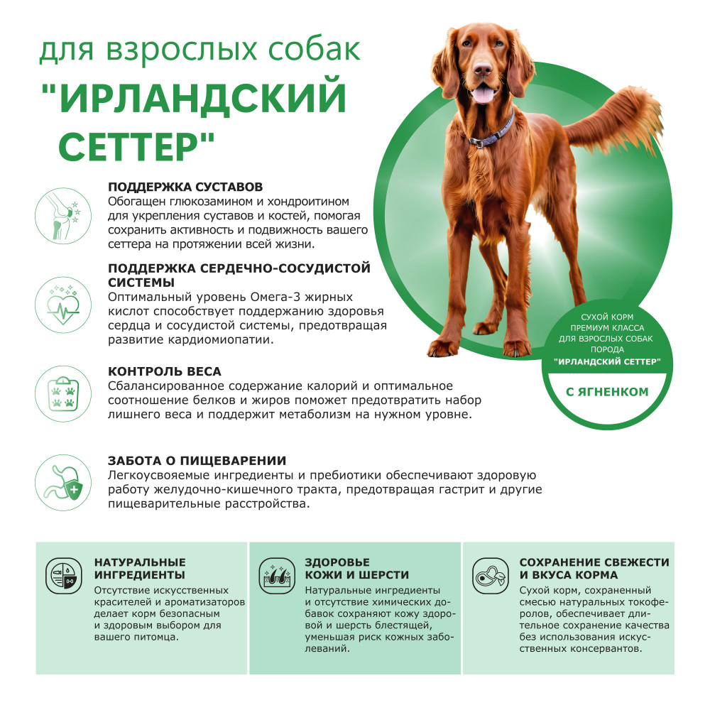 Корм сухой для взрослых собак породы Ирландский сеттер, с ягненком, 2.5 кг, QUATTRO
