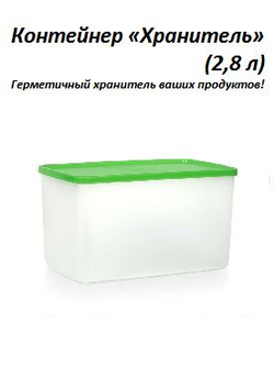 Контейнер Хранитель (2,8 л)
