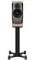Dynaudio Confidence 20 Blonde Wood