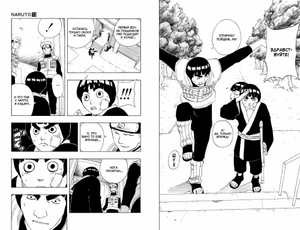 Naruto. Наруто. Книга 5. Прерванный экзамен