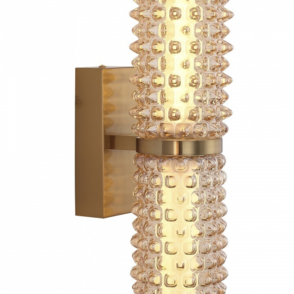 Бра ST-Luce SAGUARO SL6144.301.01