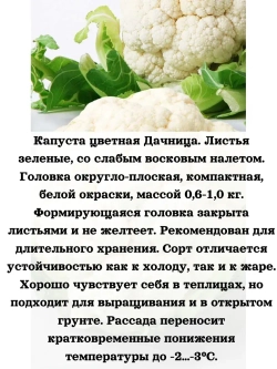 Семена Капуста цветная Дачница 0.3 гр