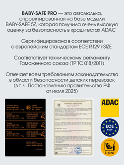 Автокресло 0+ Britax Roemer BABY-SAFE PRO, Стиль зеленый (style sage green)