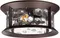 Потолочный светильник уличный Mavret 4961/2C Odeon Light