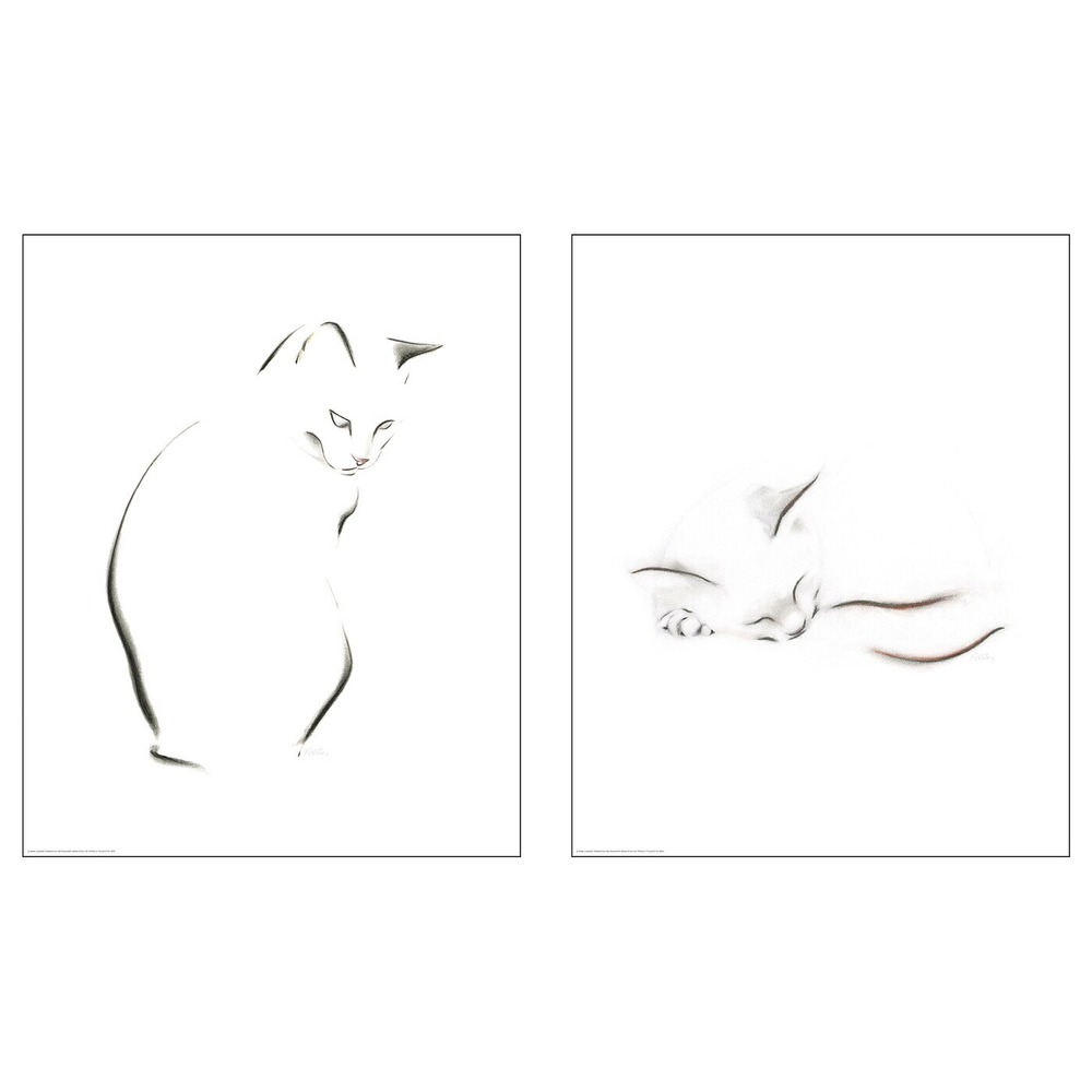 IKEA BILD (ИКЕА БИЛД) — Плакат, эскиз кошки, 40x50 см