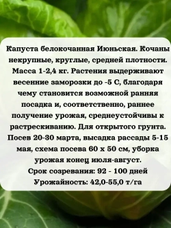 Семена Капуста для продажи рассады набор 8 шт