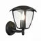 Настенный фонарь уличный Sivino SL081.401.01 ST Luce