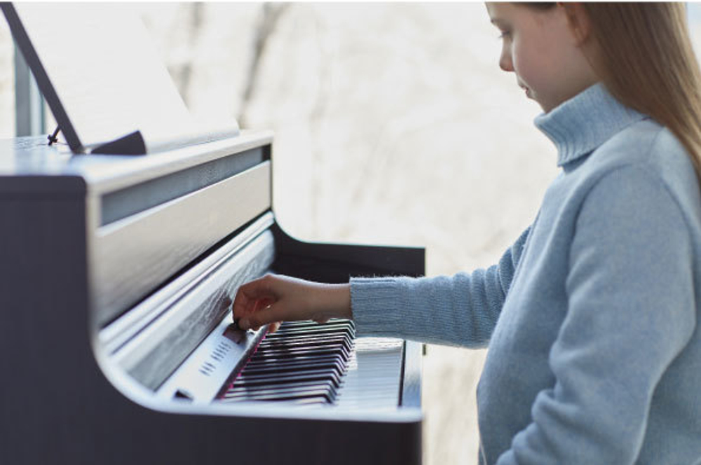 Roland HP-702
