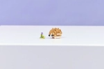 Конструктор LEGO Creator 3in1 31376 Cute Hamster with a Flower