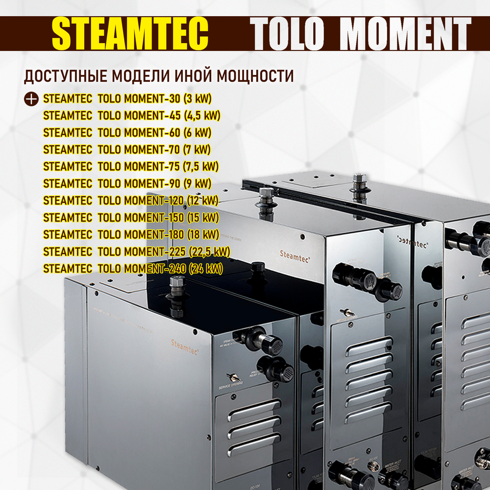 Проточный парогенератор для бани, сауны, хаммама Steamtec TOLO MOMENT