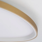 Потолочная светодиодная люстра Citilux Genka Smart CL756A162 LED RGB
