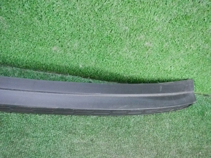 DSCN1708.JPG