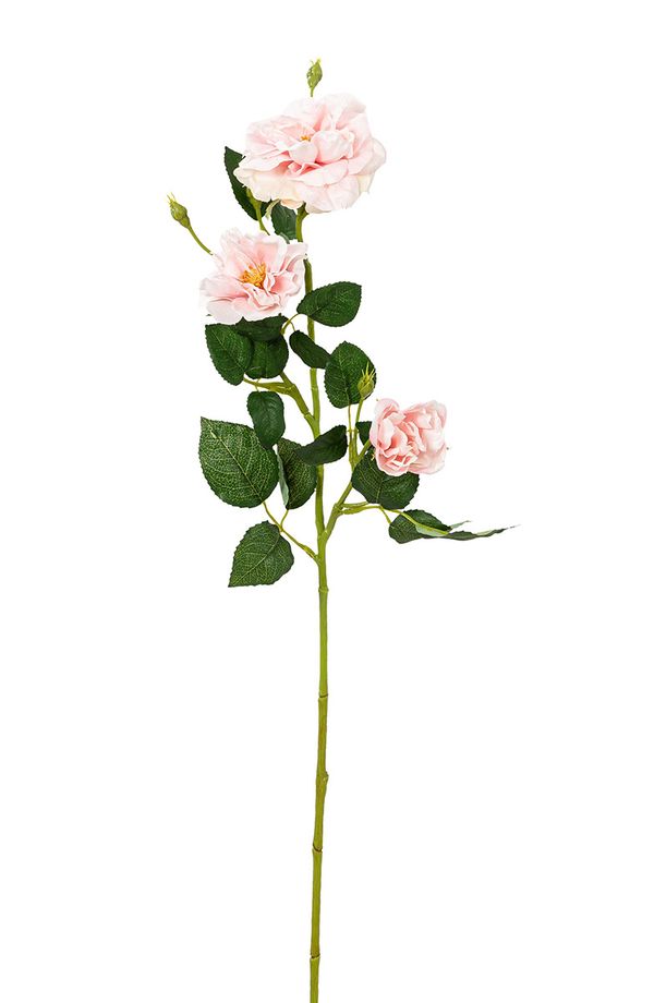 Веточка декоративная Fiebiger Floristik: Шиповник l=68 см, 207124-400