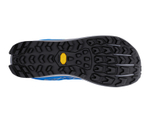 Кроссовки мужские ALTRA LONE PEAK 9+
