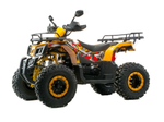 Квадроцикл 200 ALL ROAD X