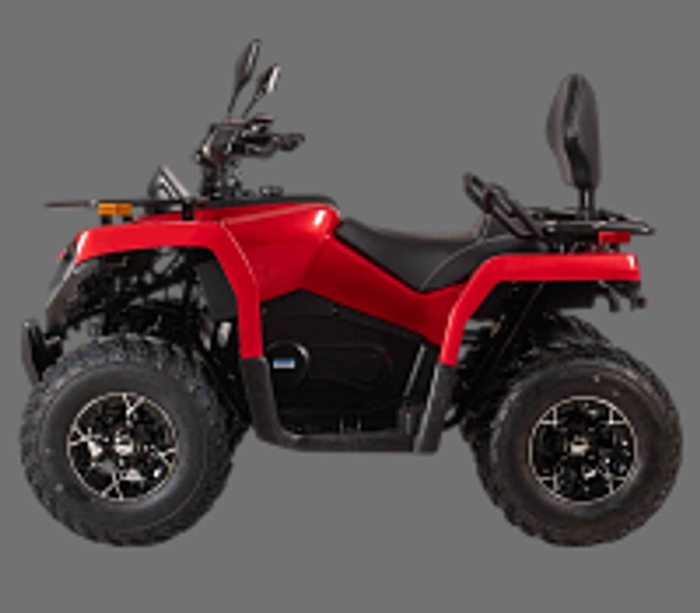 Квадроцикл Bizon YK250 LUX EFI