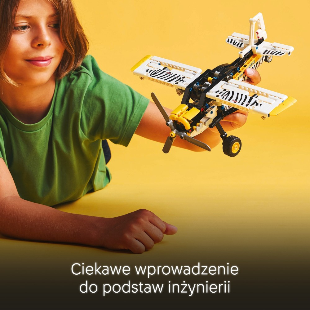 LEGO Technic - Грузовой самолет 42198
