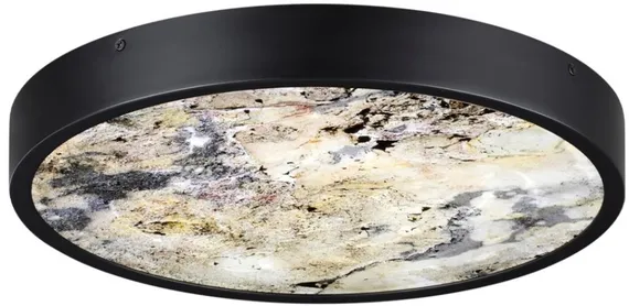 Настенно-потолочный светильник Bergi 5064/24L Odeon Light