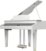 Roland GP 607-PW