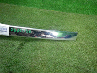 DSCN3261.JPG
