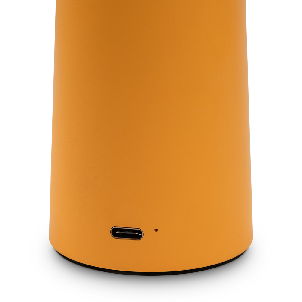 Аккумуляторный светильник Freya Mushroom FR6109TL-L4OR