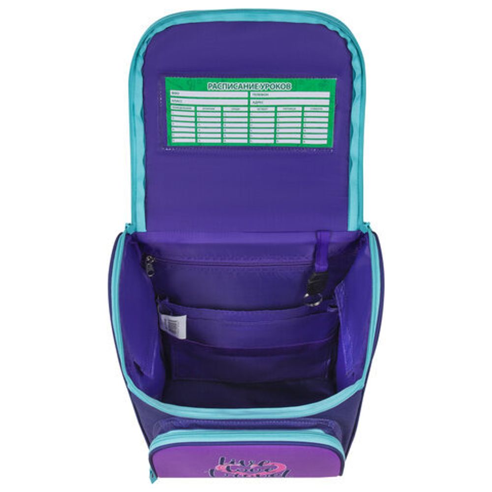 Ранец ПИФАГОР BASIC, 1 отделение, 3 кармана, эргономичная спинка, "Bike cats", 35х28х18 см, 272049