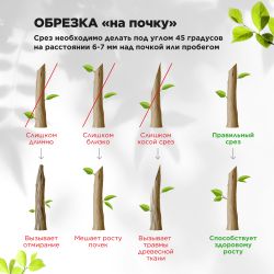 Секатор GREEN APPLE GAECO02-72 плоскостной | GREEN APPLE