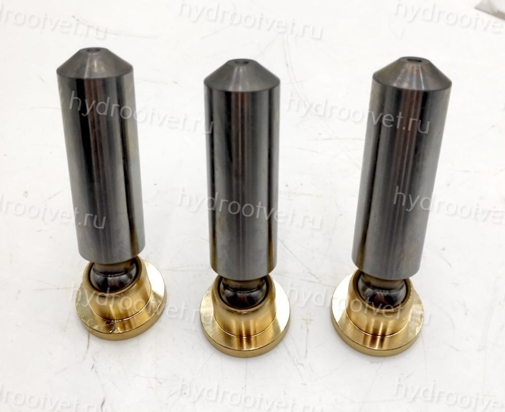 A4VSO125 PISTON